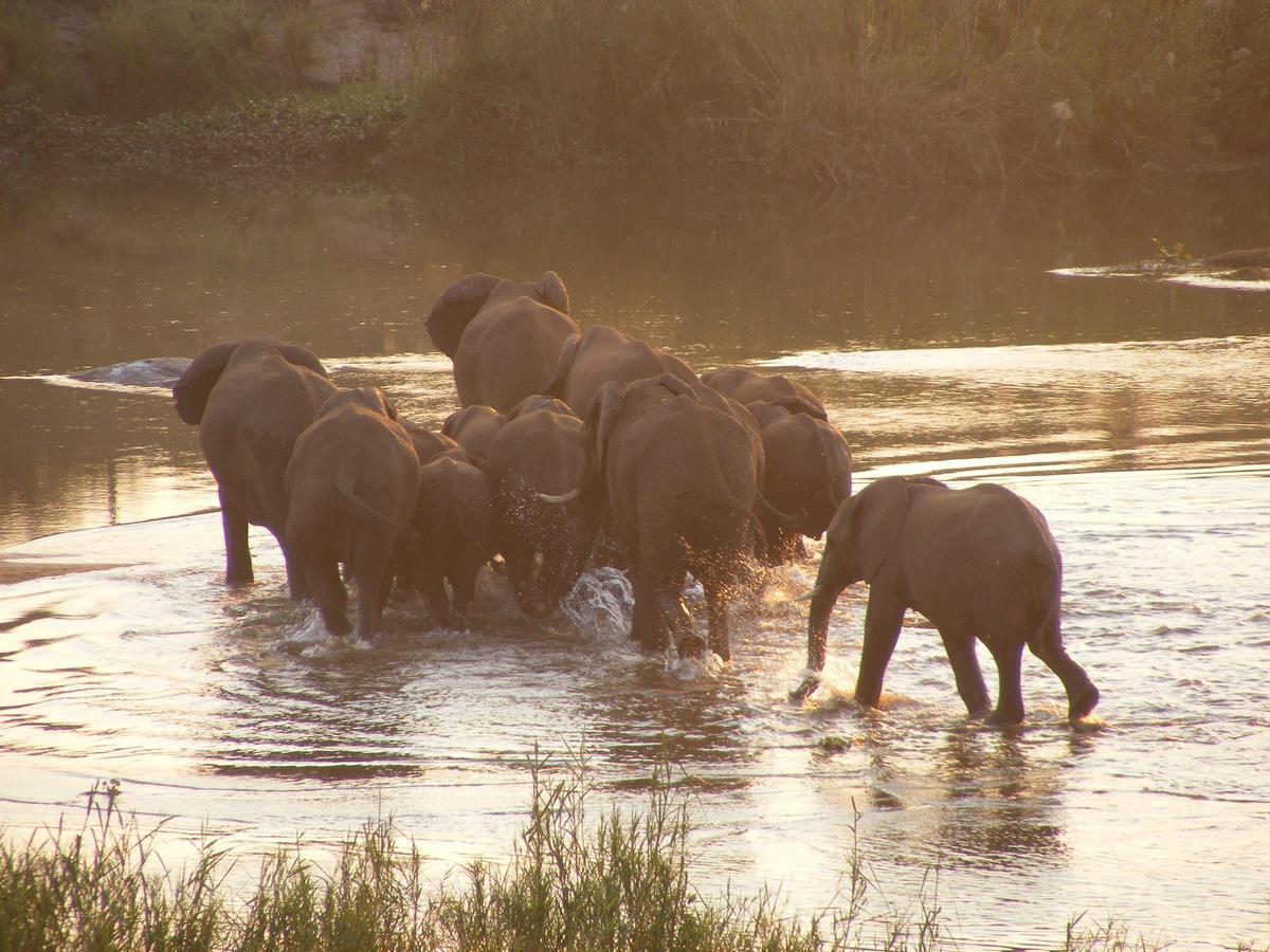大象漫步休养度假酒店 科马蒂普特 外观 照片